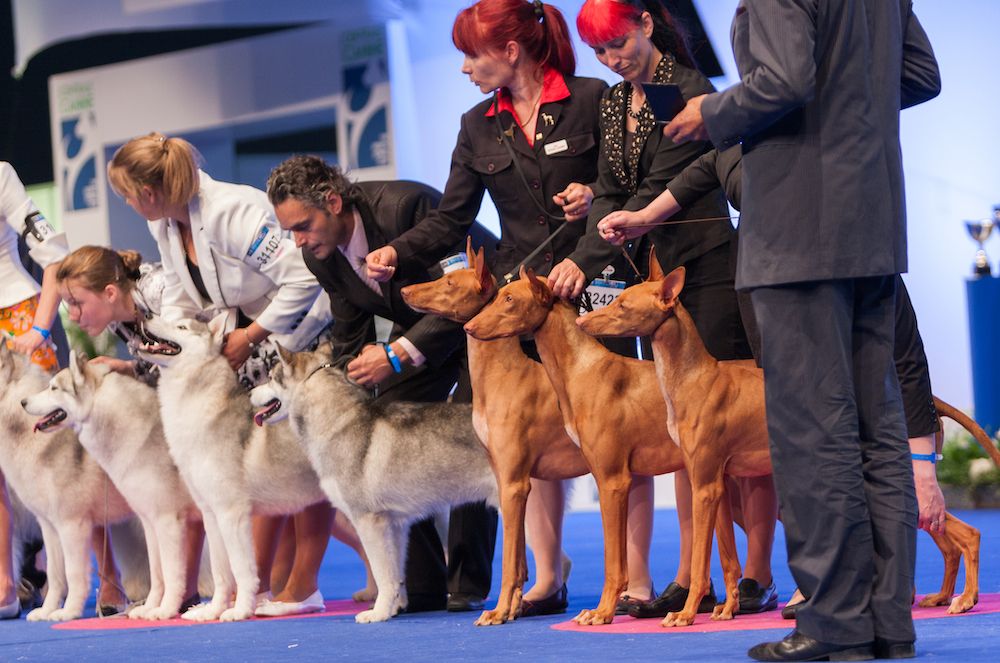 Question of the Week